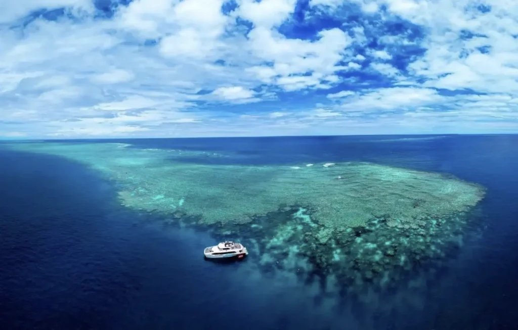 Day Trip Creative | Australia Diving Adventures Day Trip Creative | Australia Diving Adventures