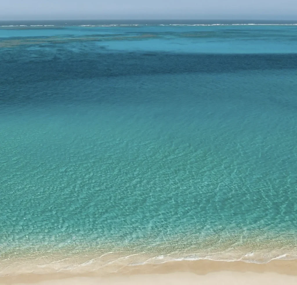 Day Trip Creative | Australia Diving Adventures Coral Bay