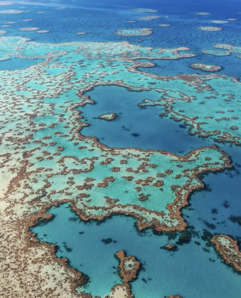Day Trip Creative | Australia Diving Adventures Day Trip Creative | Australia Diving Adventures