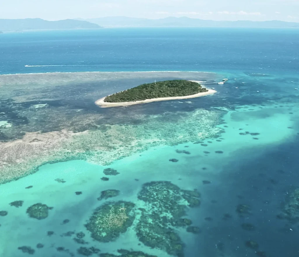 Day Trip Creative | Australia Diving Adventures Green Island