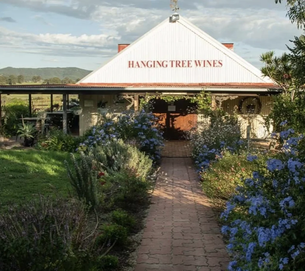 Hanging Tree Winery