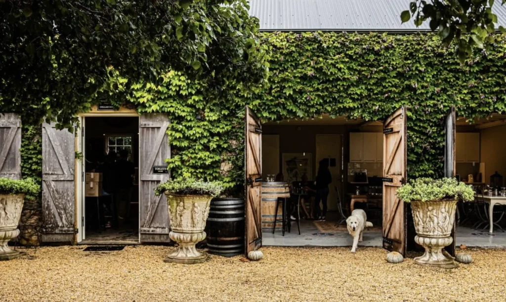 Krinklewood Biodynamic Vineyard