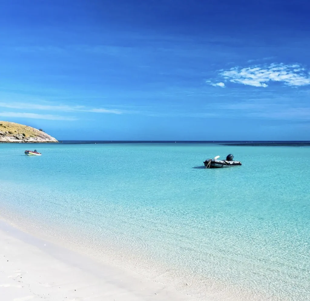 Day Trip Creative | Australia Diving Adventures Day Trip Creative | Australia Diving Adventures