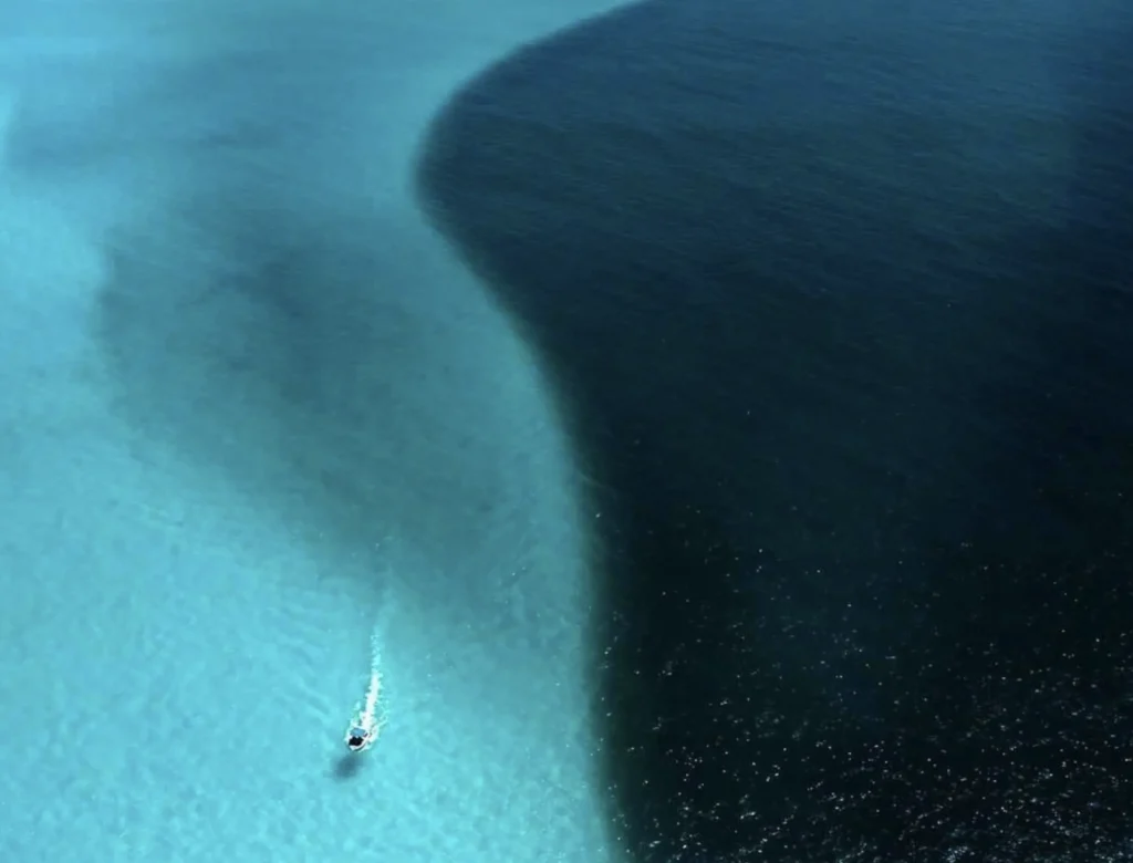 Day Trip Creative | Australia Diving Adventures Ningaloo Reef