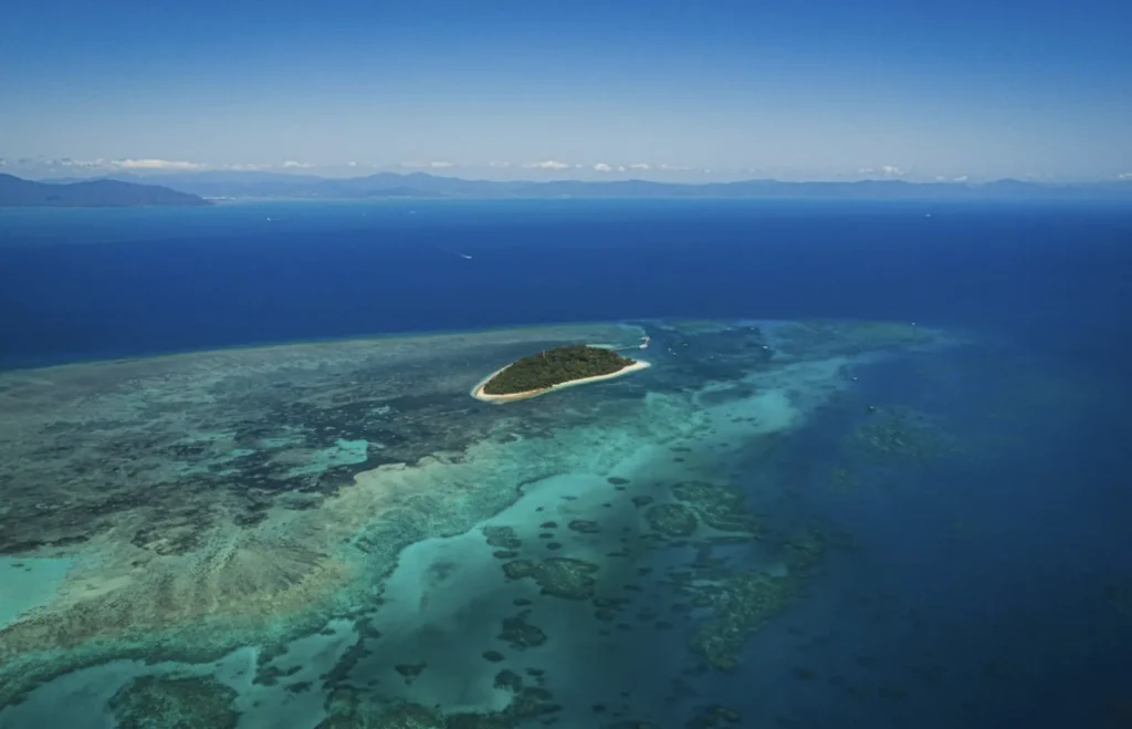 Day Trip Creative | Australia Diving Adventures Day Trip Creative | Australia Diving Adventures