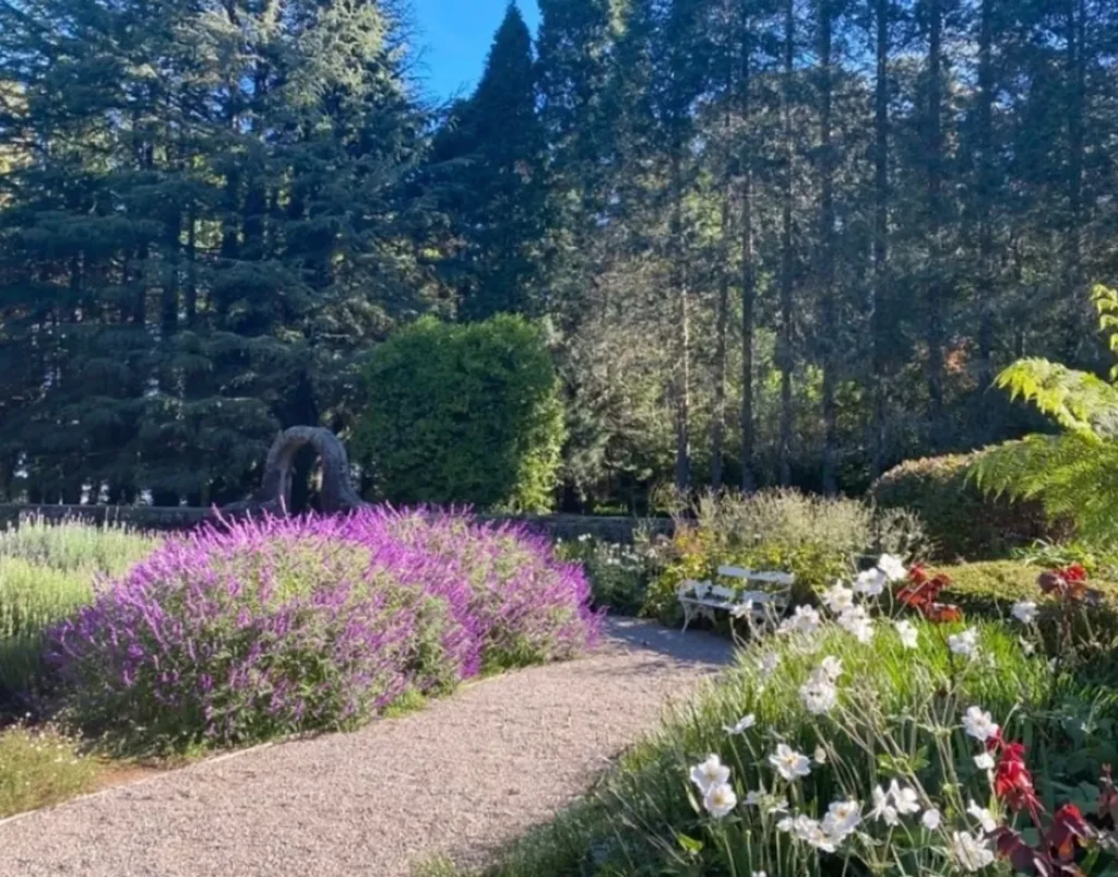 Day Trip Creative | Planning a Romantic Getaway in the Blue Mountains