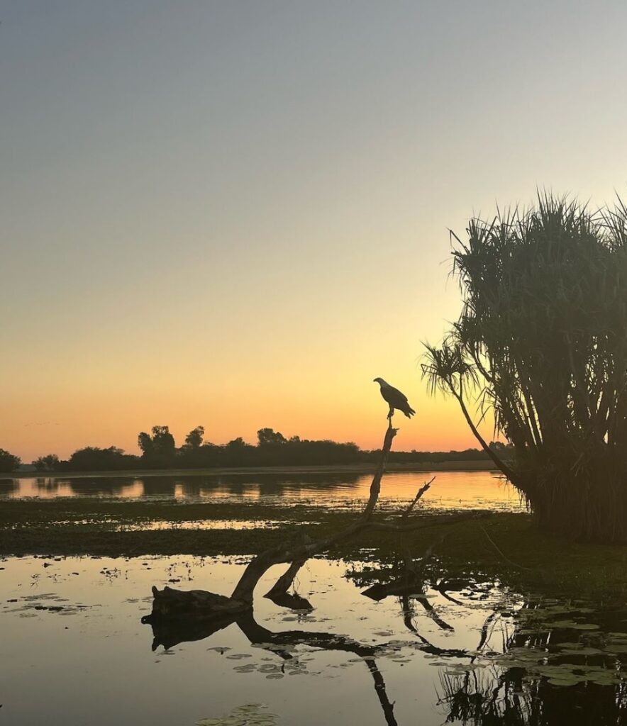 Yellow Water Cruise - Morning