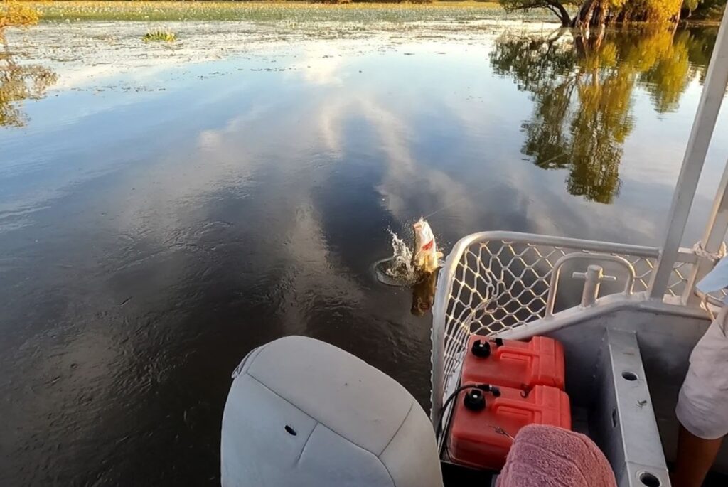 Yellow Water Fishing Tour