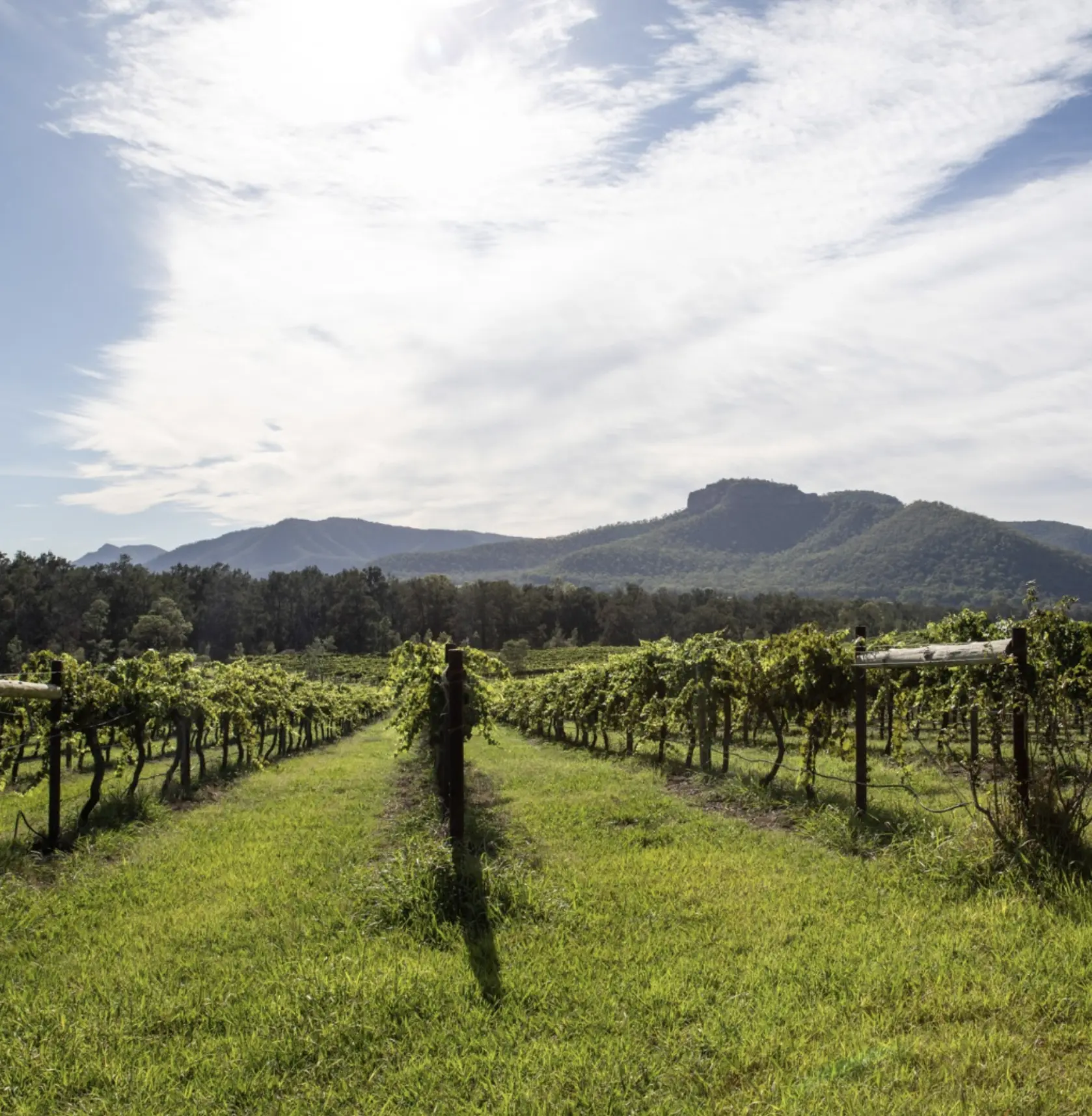 hunter valley wineries