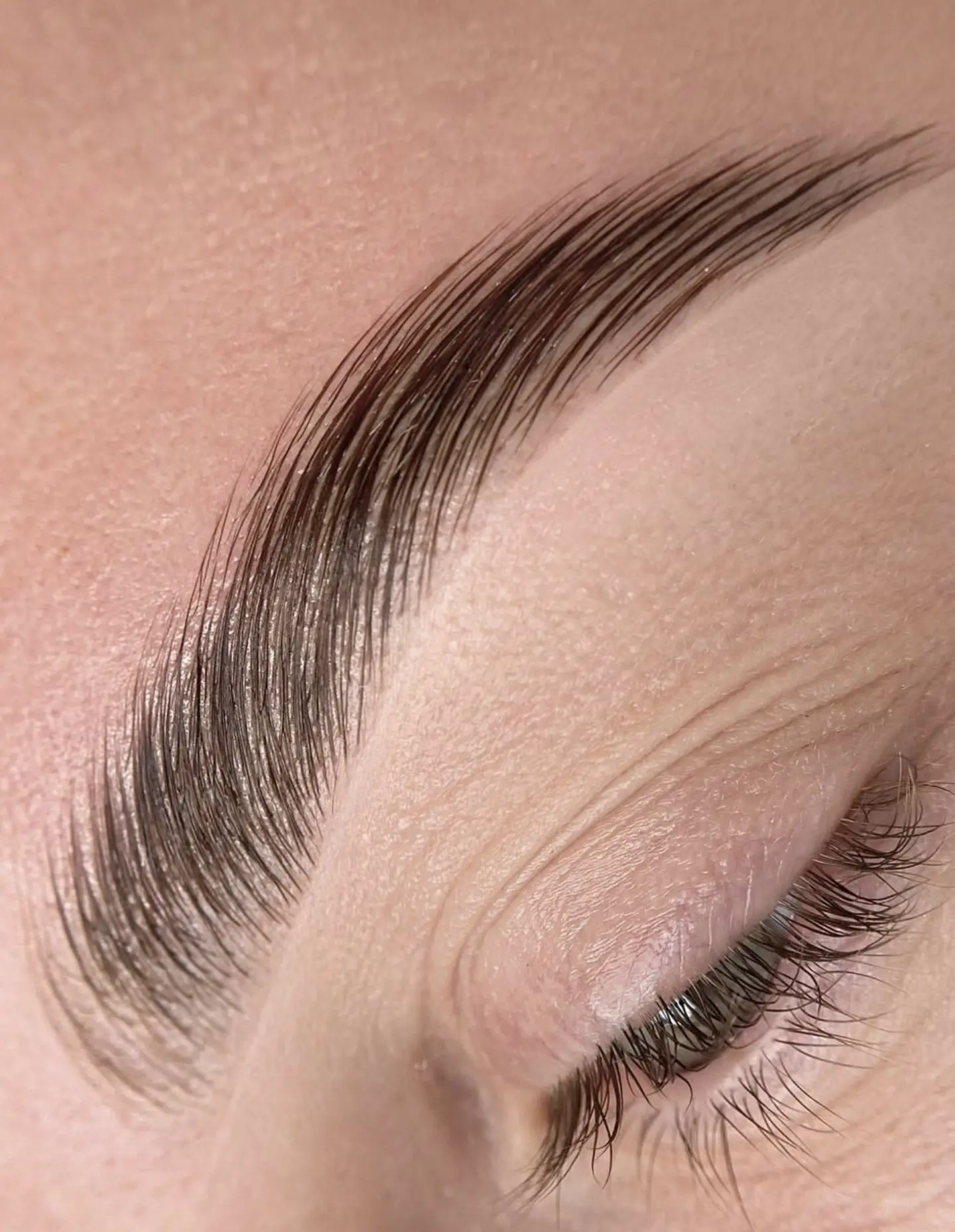hybrid stain vs brow tint