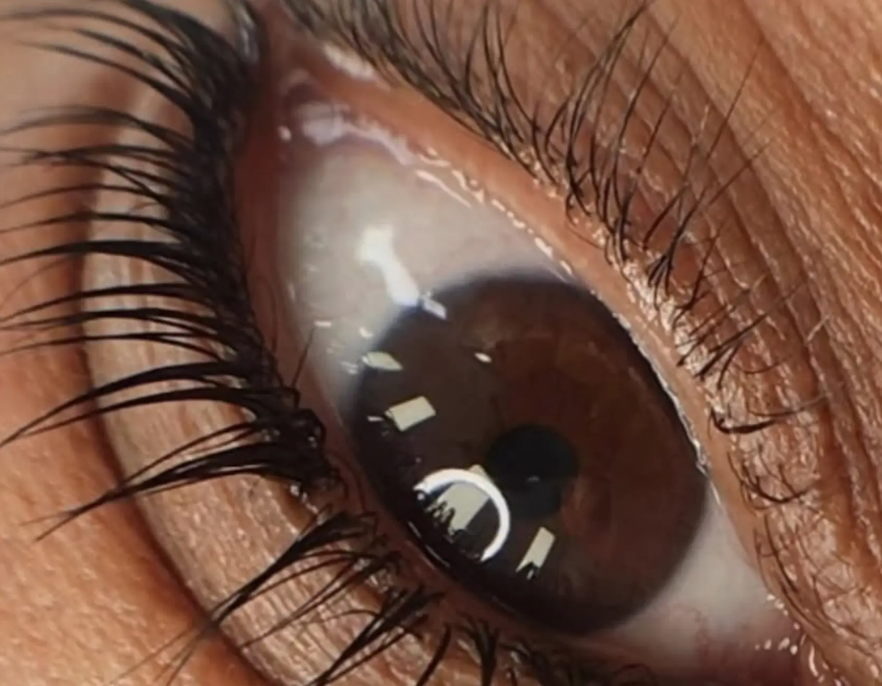 Day Trip Creative | What is lash laminating? lash lamination aftercare